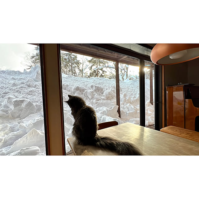 Kikko.さんの部屋