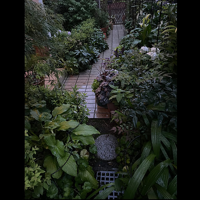 紫陽花植え付け/心地よい暮らし/灯りのある暮らし/梅雨の庭/臨書中です。...などのインテリア実例 - 2023-06-22 19:04:39