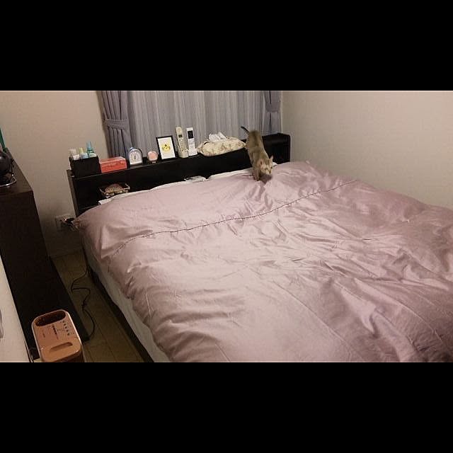 GymGさんの実例写真