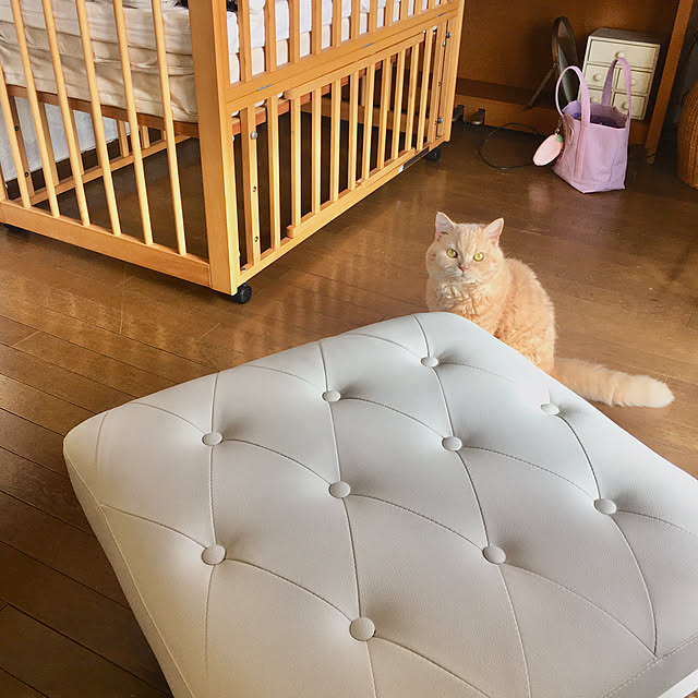 naokoさんの実例写真