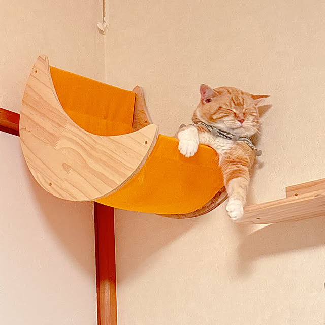 moolさんの部屋