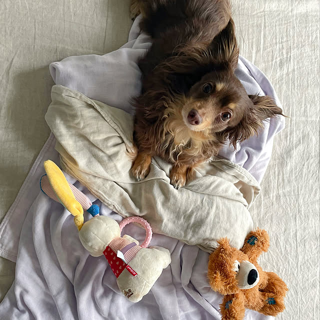 rueさんの部屋