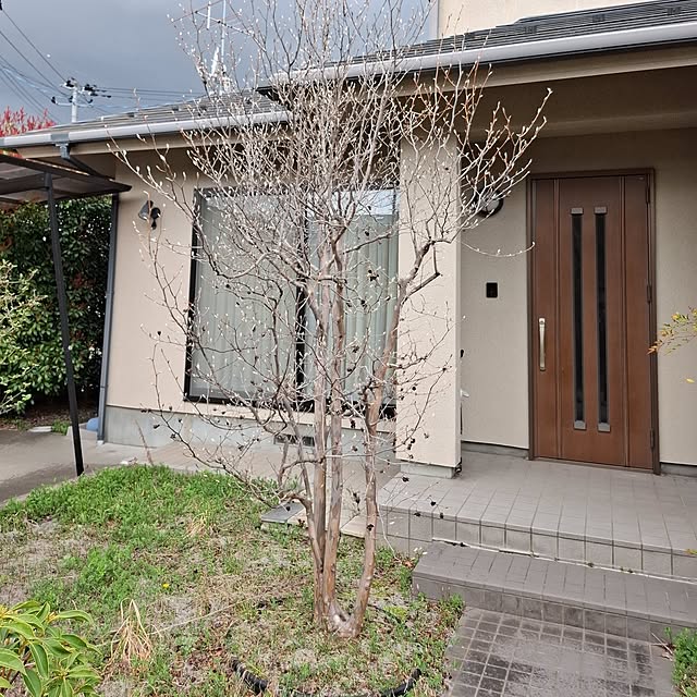 noaさんの部屋