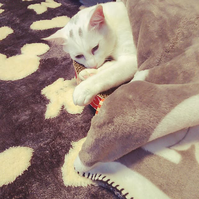 kaori0001さんの実例写真