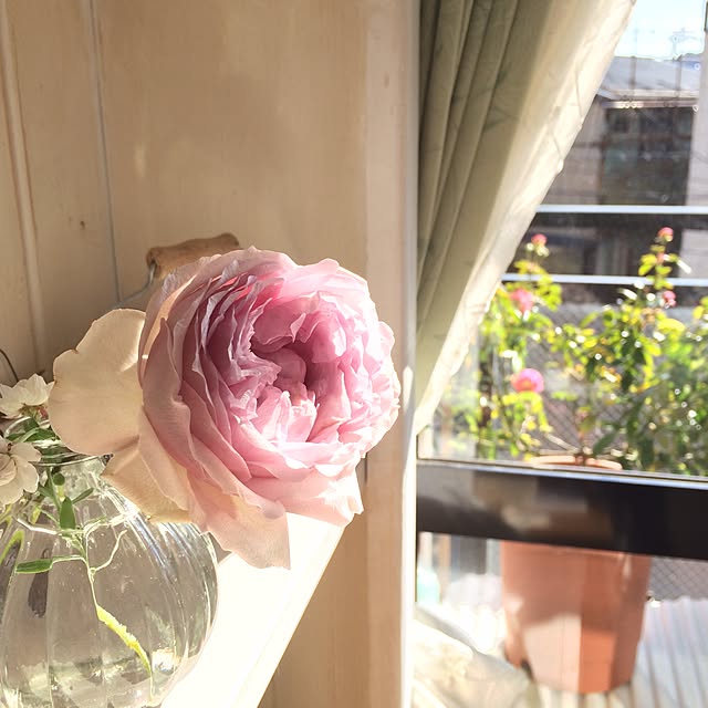 chirurunさんの実例写真