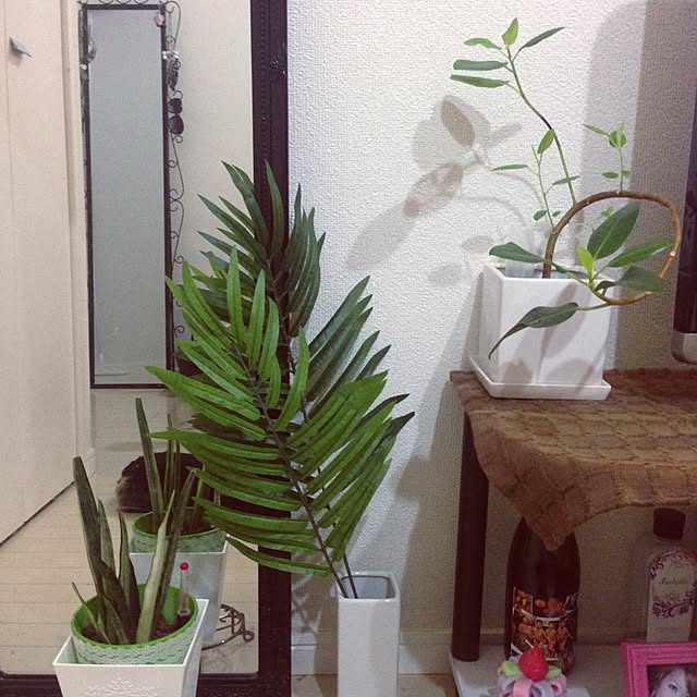 komoloveさんの実例写真