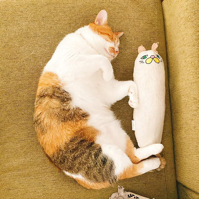 mariさんの実例写真