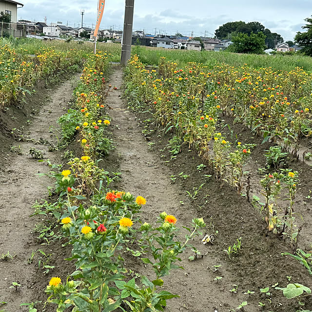 mizucchiさんの部屋