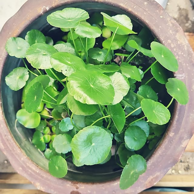 katさんの部屋