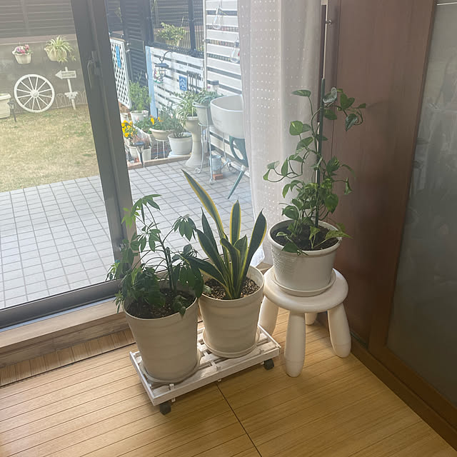 YuuKoさんの実例写真
