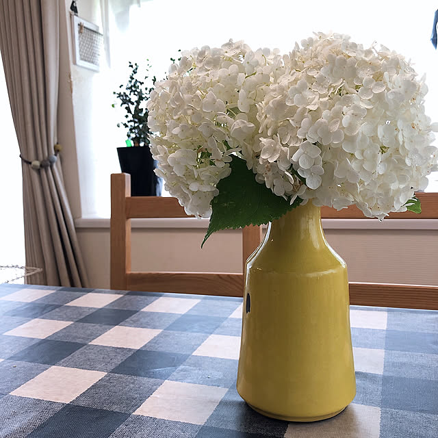 mii-tanさんの実例写真