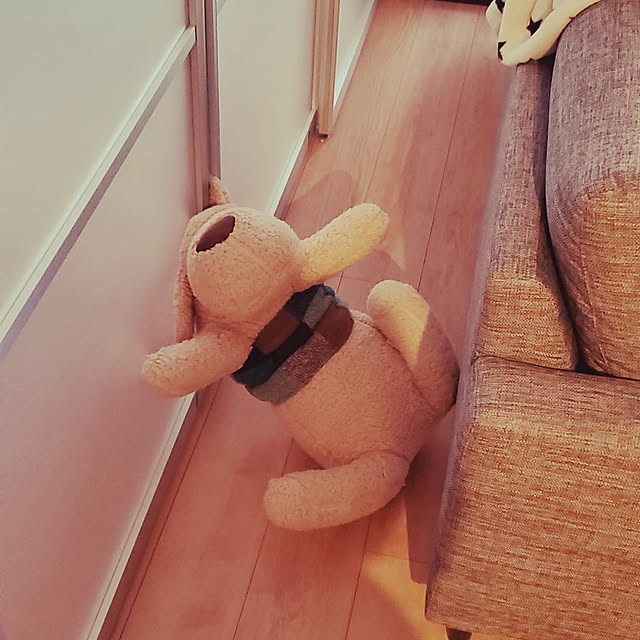 go-chanさんの実例写真