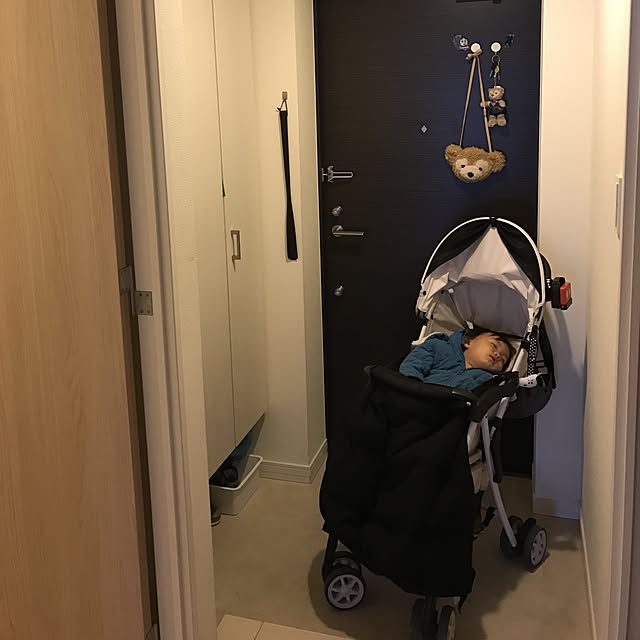 Alisaさんの実例写真
