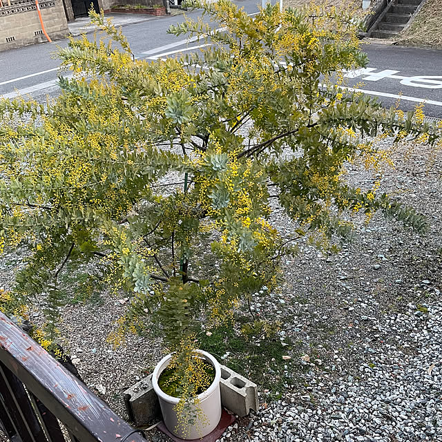 shin0719さんの部屋