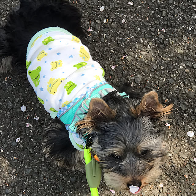 oceanさんの部屋