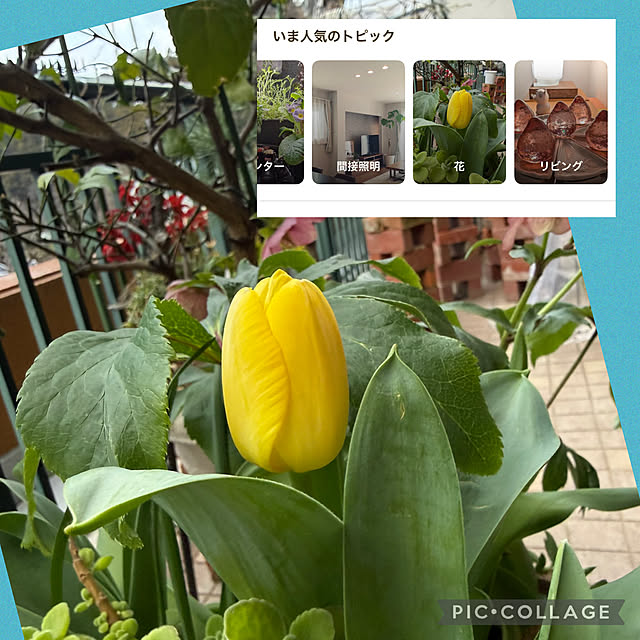 Aqettyさんの部屋