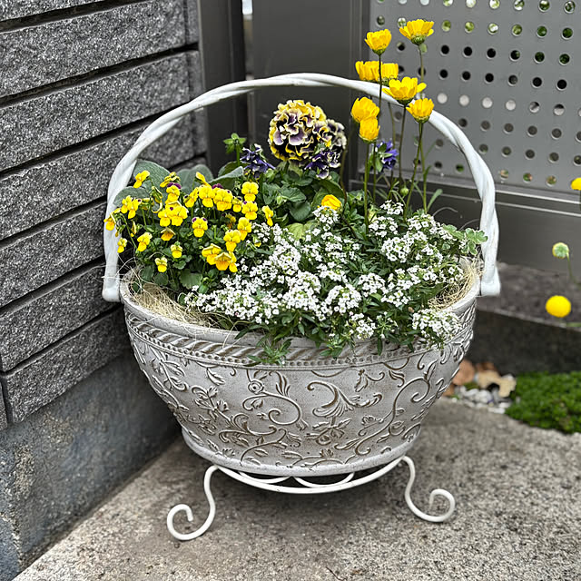 maayaさんの部屋