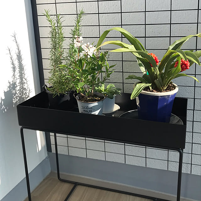 qchan9123さんの実例写真