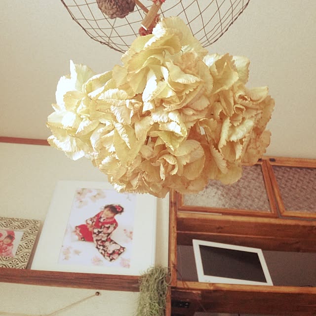 iroirokoubouさんの実例写真