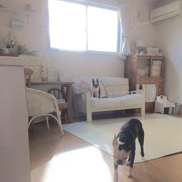 ume48さんの実例写真