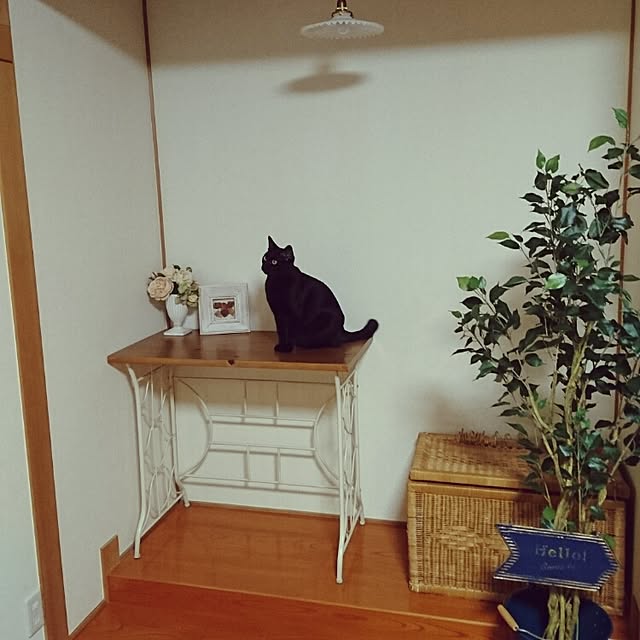 genさんの実例写真