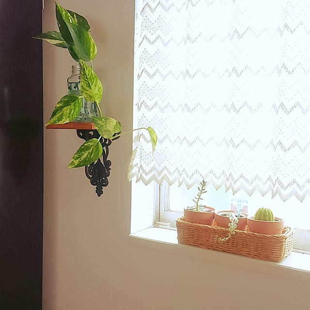 chako.さんの実例写真