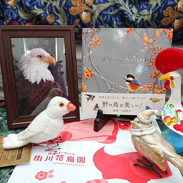 copippiさんの実例写真