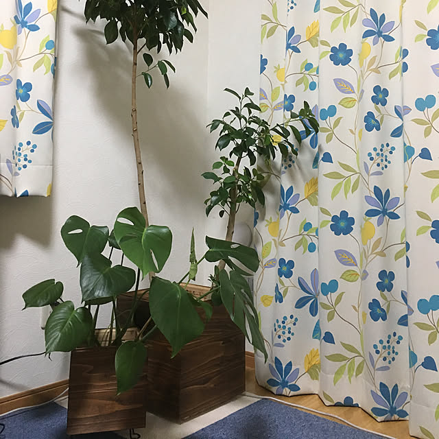 Soaさんの実例写真
