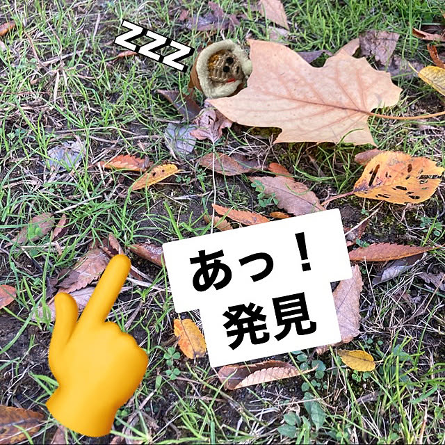 manduonmaさんの実例写真