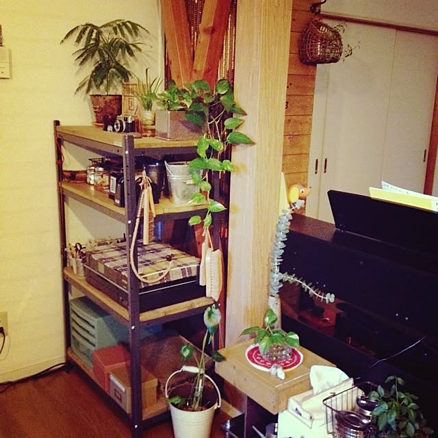 botanさんの実例写真