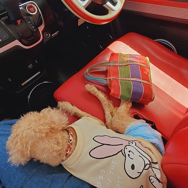 kumutanさんの実例写真