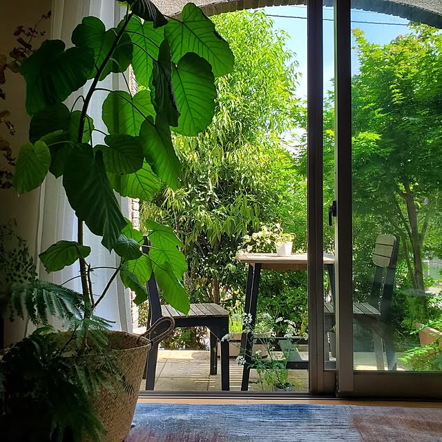 MARIE.color.interiorさんの部屋