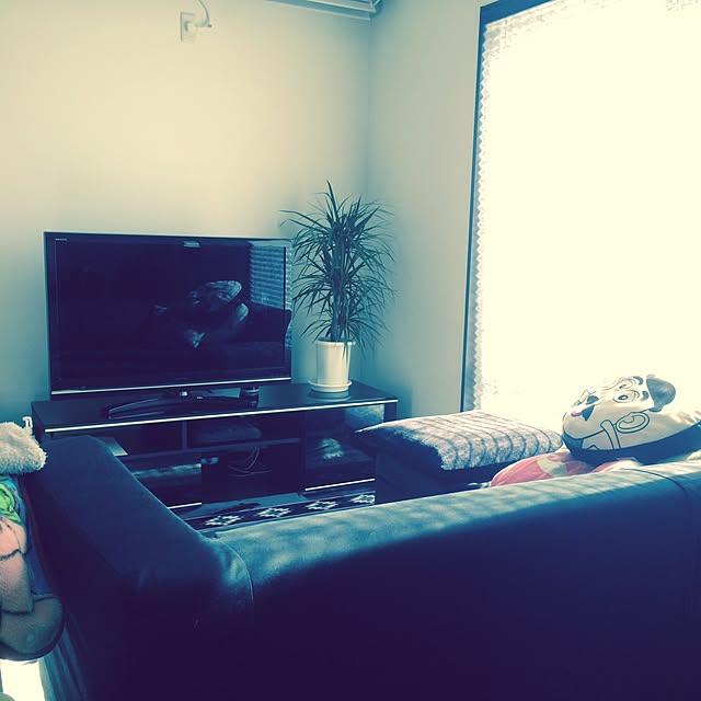 miyoさんの実例写真