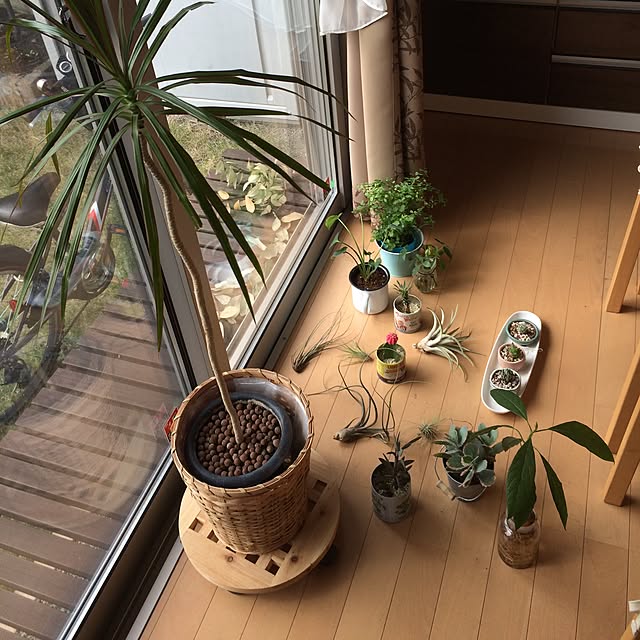 chiriruさんの実例写真