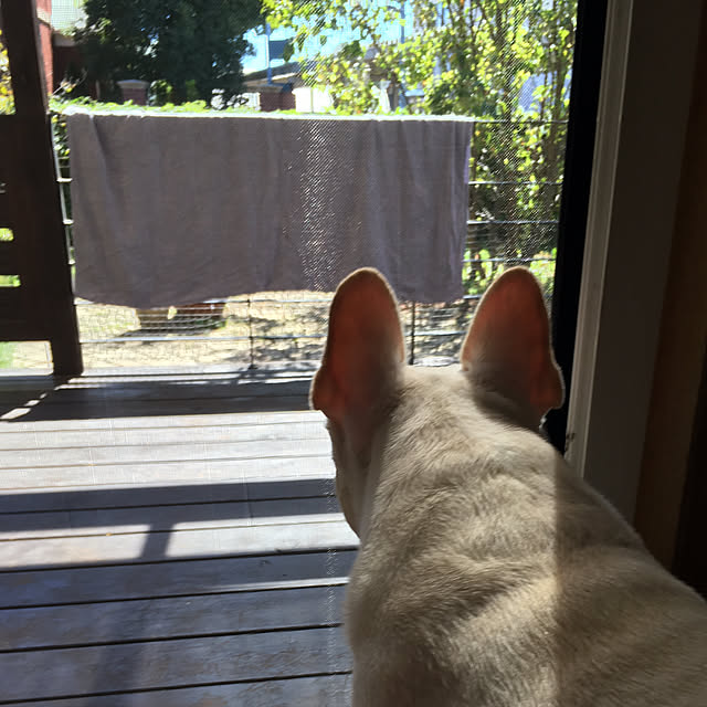 MAKOさんの実例写真