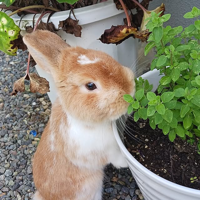 aiさんの部屋