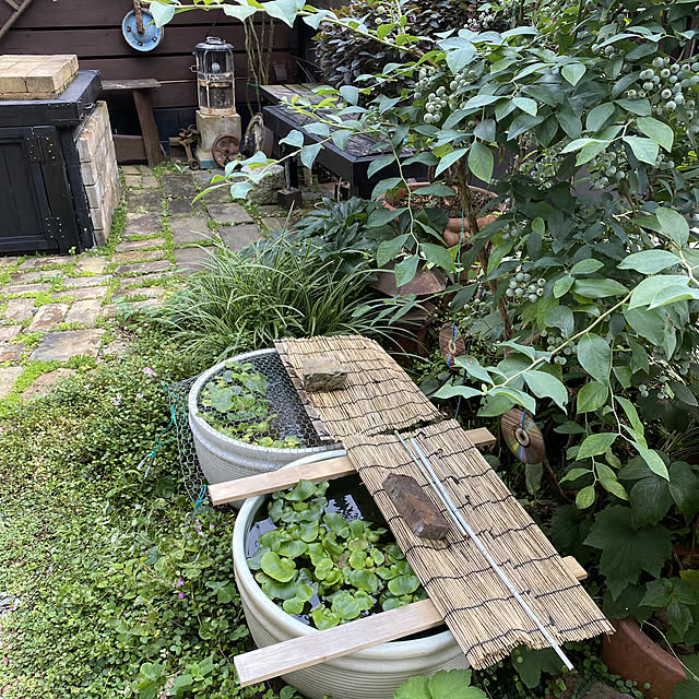 coronさんの実例写真