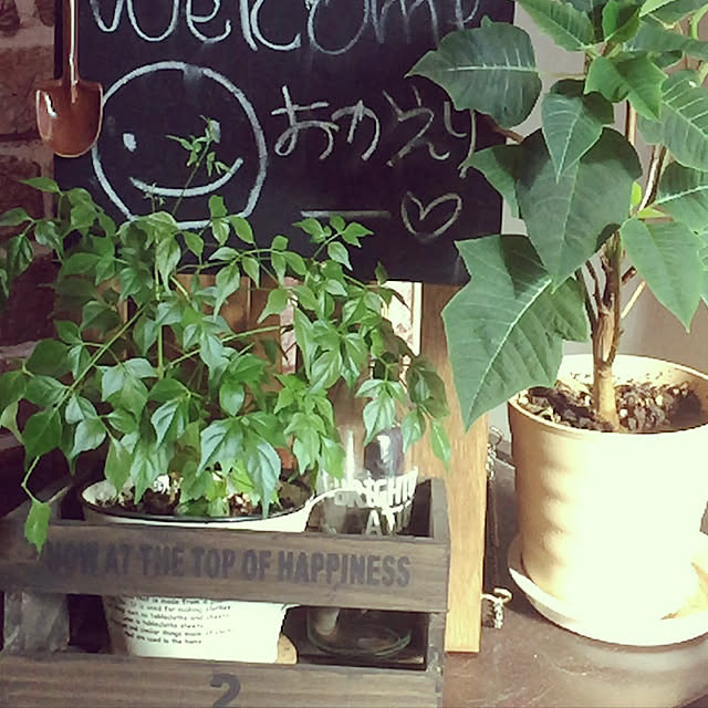 suuさんの実例写真