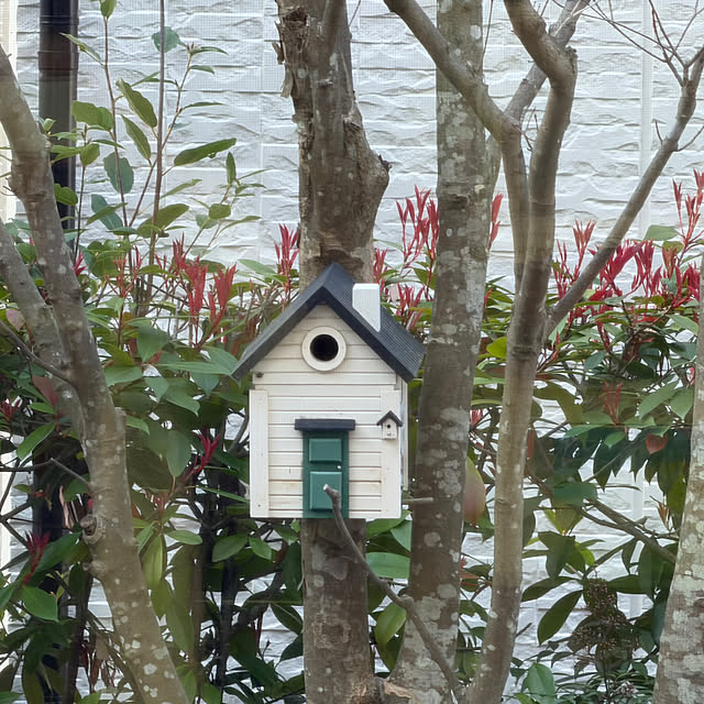 Yumiさんの実例写真