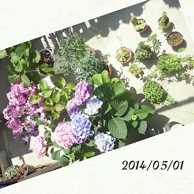 kira127さんの実例写真