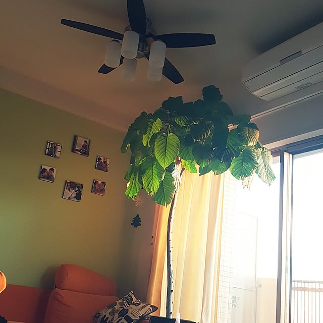 cherryさんの実例写真