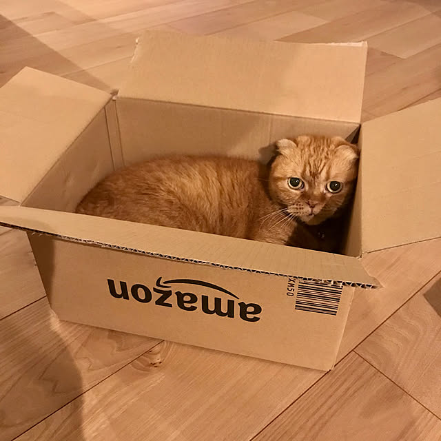 hm_myhomeさんの実例写真