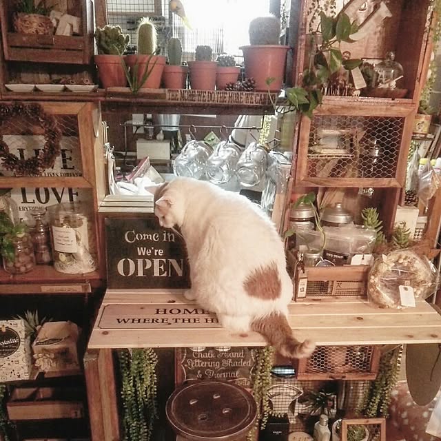 ugさんの実例写真