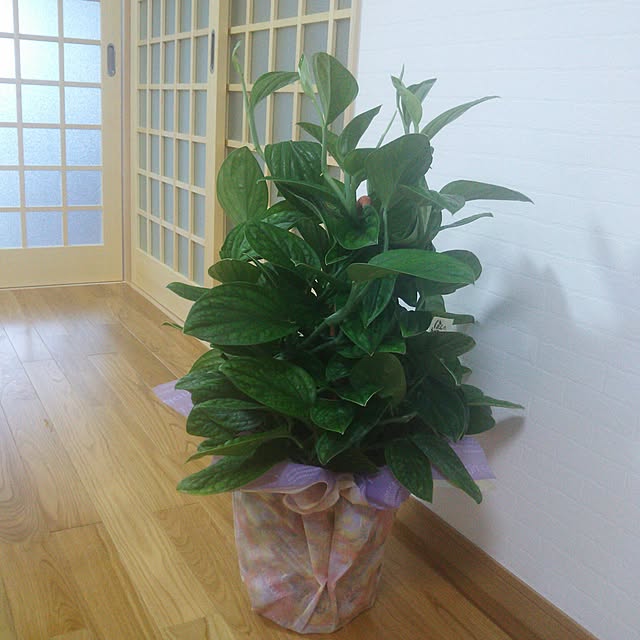 Motomeさんの実例写真