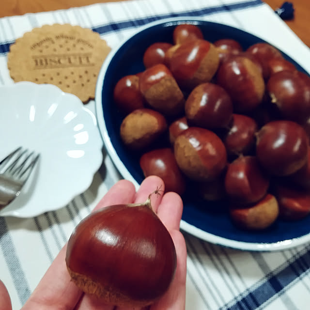 rimmieさんの実例写真