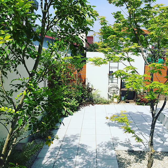 pan-daisukiさんの実例写真