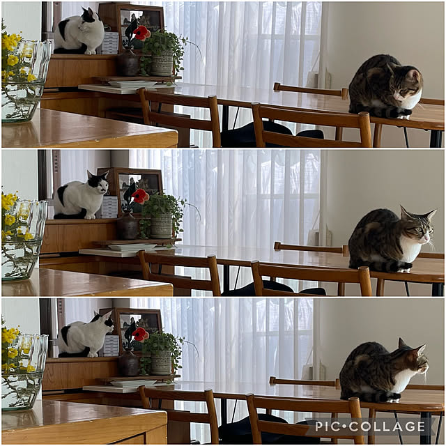 nobikoさんの実例写真