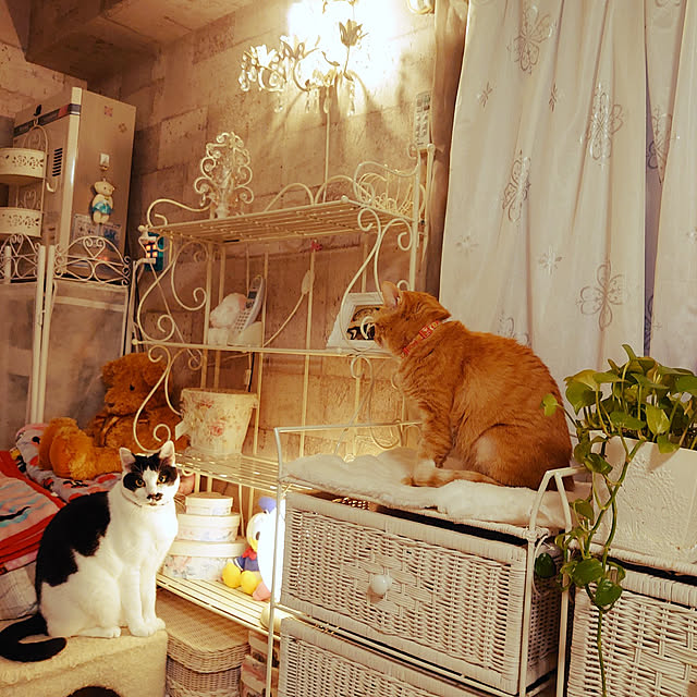 asuminさんの実例写真