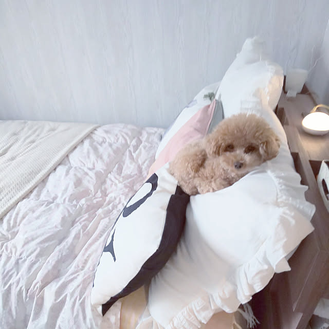 erisavesu4さんの実例写真