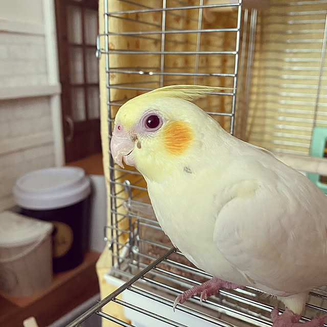 mさんの実例写真